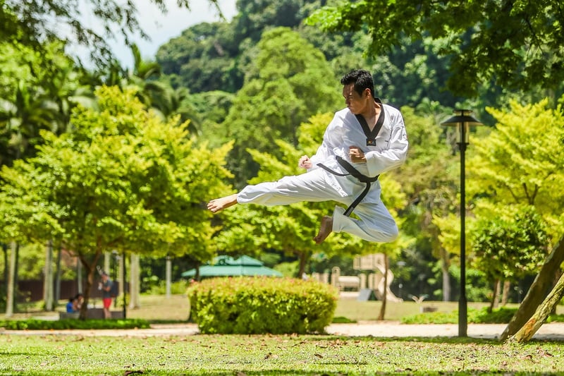 Kung Fu