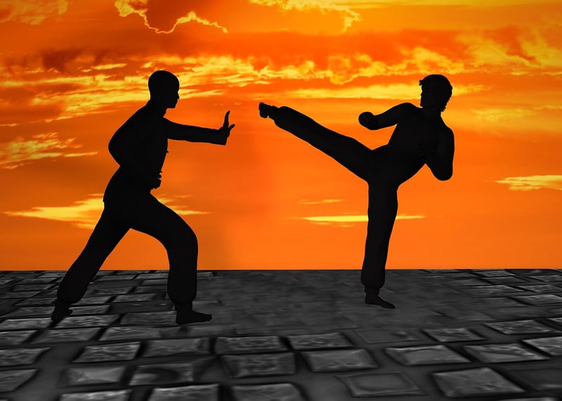 Kung Fu Training